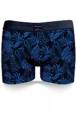 pánske boxerky John Frank JFBUC146-LEAF